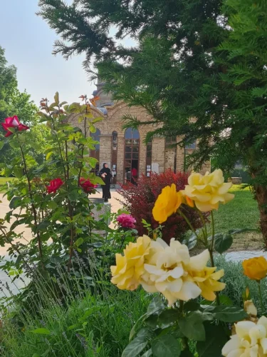 VDraw_3656391072915405245