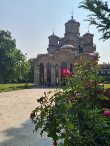 VDraw_3656391072957578999